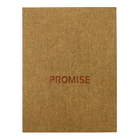Promise BN315Y турбо зажигалка Promise BN315Y турбо зажигалка