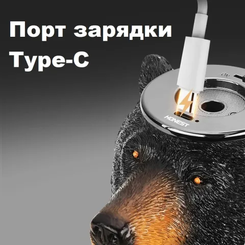 Honest BCZ854-1 настольная бензиновая зажигалка с электроимпульсным поджигом Honest BCZ854-1 настольная бензиновая зажигалка с электроимпульсным поджигом